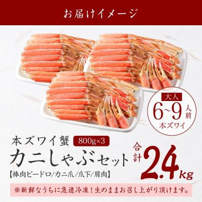 ふるさと納税 弟子屈町 【無地熨斗】ズワイ蟹しゃぶ ビードロ 800g×3個(6〜9人前) 生食 北海道弟子屈町 2996 |  | 03