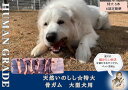 【ふるさと納税】大型犬向け☆天然いのしし骨ガム6本【定期便】全6回（FB182）