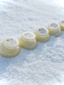 人気の雪国くちどけなめらか極上プリン ６個入[M13701]