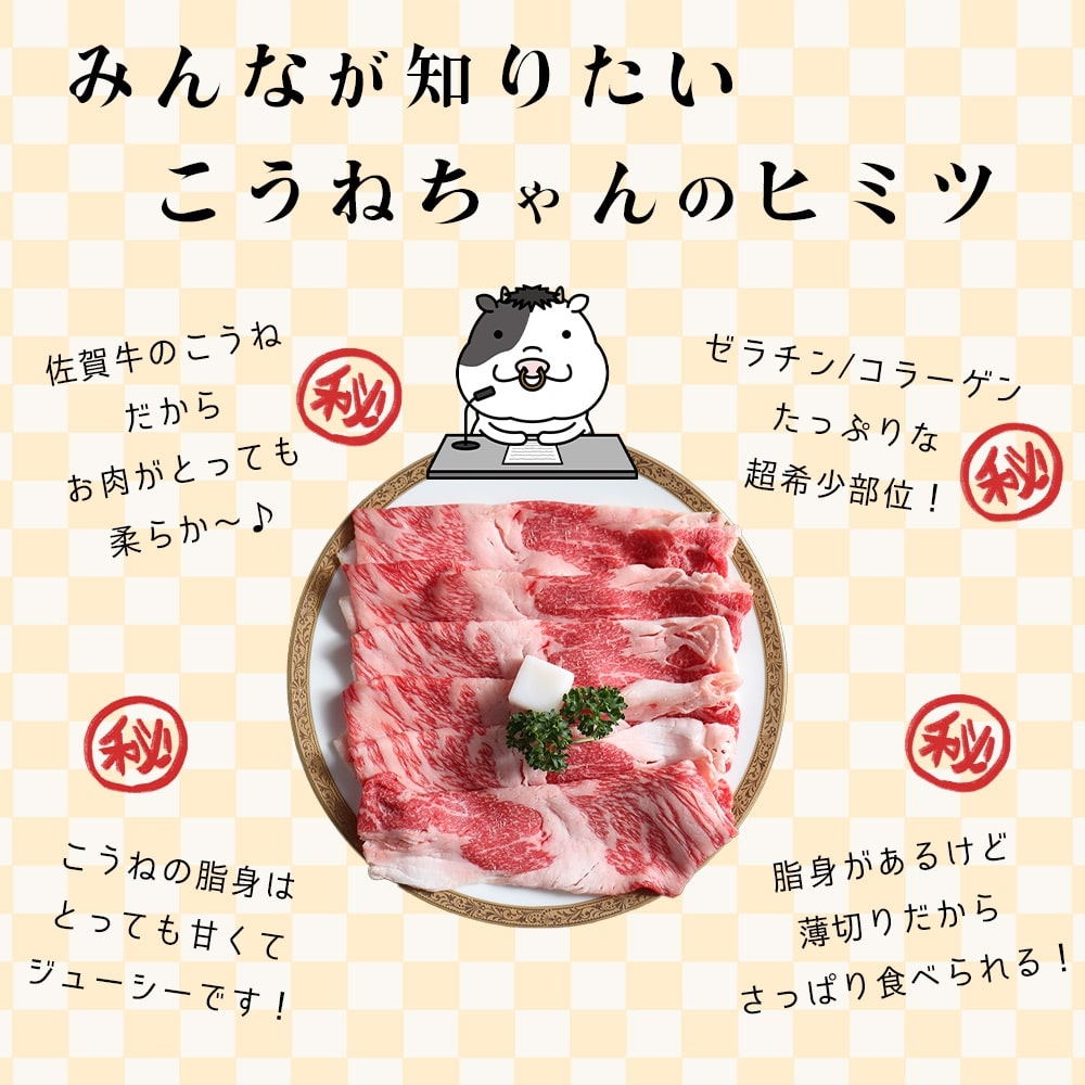 佐賀牛切り落としコウネちゃん600g 161-J787