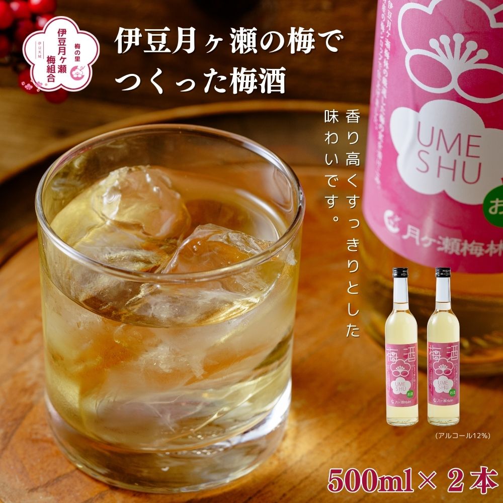 【ふるさと納税】 梅酒 500ml×2本セット (化粧箱・ラッピング込) / 伊豆 月ヶ瀬 ウメシュ 梅 うめ ウメ 果実酒 リキュール 酒 お酒 地酒 洋酒 瓶 お取り寄せ 国産 贈り物 ギフト 静岡県 伊豆市 [010-016]