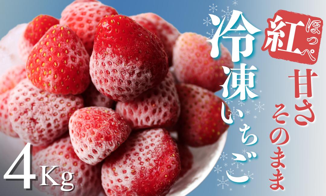 
                  【3～7月発送】 冷凍いちご 紅ほっぺ こだわり いちご フローズン 冷凍 イチゴ strawberry 苺 新鮮 朝摘み 朝採り 産直 産地直送 安心安全 ichigo itigo いちご 苺 果物 フルーツ くだもの ギフト プレゼント 贈物 贈答 ケーキ ジャム ふるさと納税 ふるさと納税苺 いちご 静岡県 南伊豆町 のぶちゃんストロベリーふぁ〜む　<T-7>
                