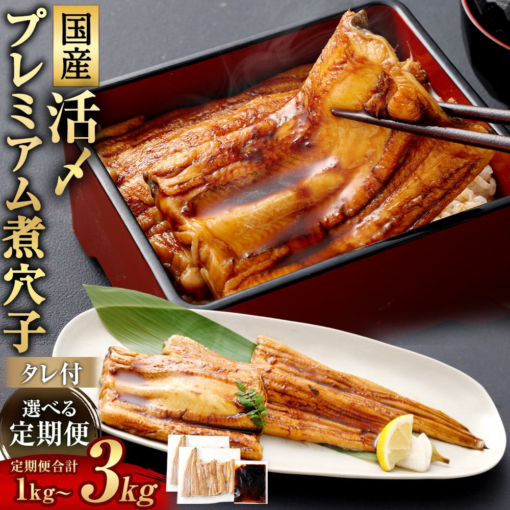 【ふるさと納税】＜選べる定期便＞国産活〆 プレミアム煮穴子 計500g（250g×2袋） タレ（50g）付 1ヶ月毎 2回 3回 4回 6回 煮穴子 煮あなご 穴子 あなご アナゴ 魚介類 水産物 惣菜 ごはんのお供 ご飯のお供 おかず 冷凍 三重県 桑名市 送料無料
