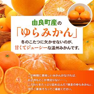 ゆらみかん 5kg ※2026年11月下旬頃から12月上旬頃に順次発送予定 ※沖縄・離島配送不可【kzmn004-r-5】