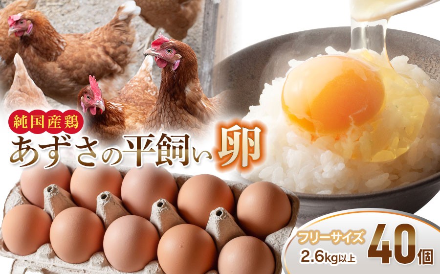 
                  純国産鶏あずさの平飼い卵 40個 (フリーサイズ) 山形県鶴岡市 おーぼ | 卵 たまご タマゴ 玉子 鶏卵 平飼い卵 自然卵 生卵 卵かけご飯 たまごかけご飯 卵かけごはん 卵料理 甘み 国産 東北 山形 鶴岡市産 冷蔵 送料無料
                