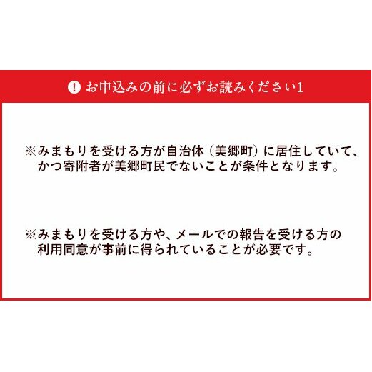 郵便局 みまもり サービス 訪問 6ヵ月 年6回 [日本郵便 宮崎県 美郷町 31bk0005] 家族 健康 安否確認 代行 高齢者 見守り 故郷 親 両親_イメージ5