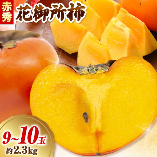 【ふるさと納税】 柿 花御所柿 赤秀 八頭町特産 2Lサイズ 2.3kg (9～10玉入り) やずふれあい市場 《12月上旬〜12月末頃より出荷予定》 鳥取県 八頭町 送料無料 かき 柿 花御所柿 幻の柿 名産品 果物 フルーツ お取り寄せフルーツ