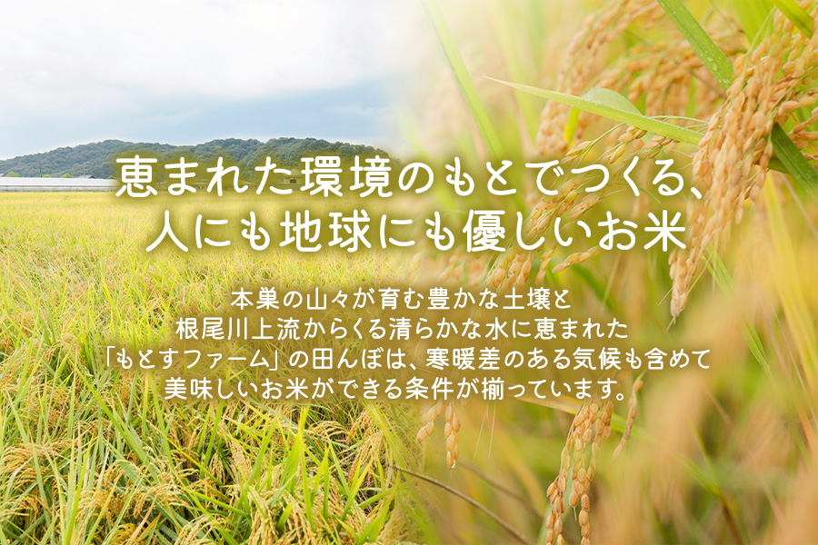 令和5年産 岐阜県本巣市産【織部の里米(R)】精米ハツシモ5kg×1袋 [1444]