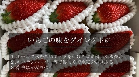 60年続くいちご農園(Odake ichigo(オオダケイチゴ))　特大いちご(章姫)　360g以上(7～9粒、1粒40g以上)・O038-10