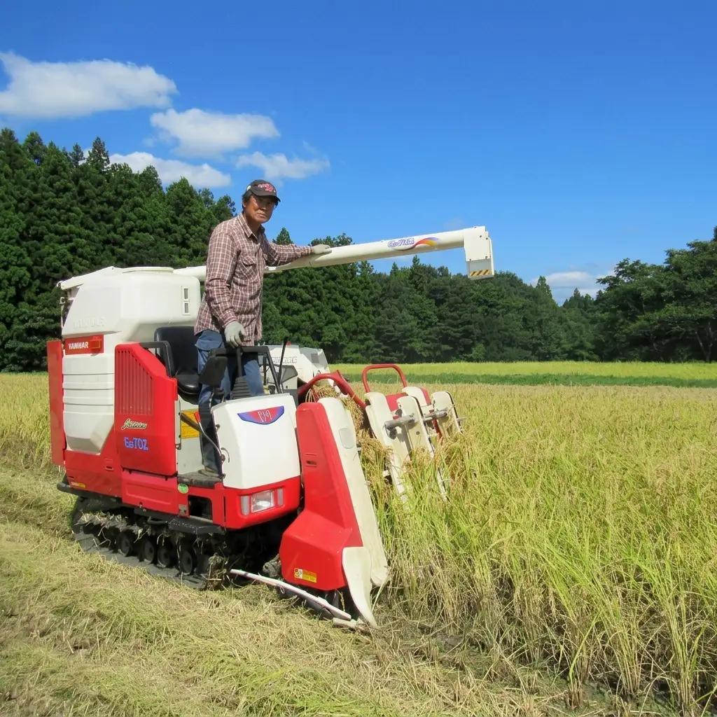 コシヒカリ 棚田米 精米 10kg 上越産 コシヒカリ