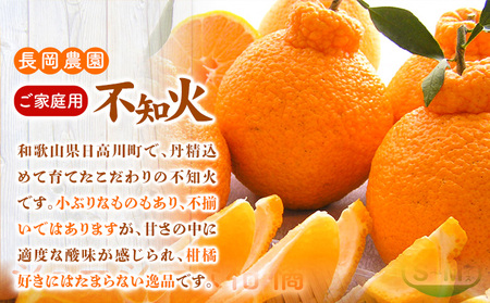 【先行受付】【家庭用】不知火 ( デコポン )と同品種 約 10kg 長岡農園 《2月中旬-4月上旬頃出荷》 和歌山県 日高川町 柑橘 不知火 でこ でこポン デコみかん 直送 大玉 10kg ｜不知