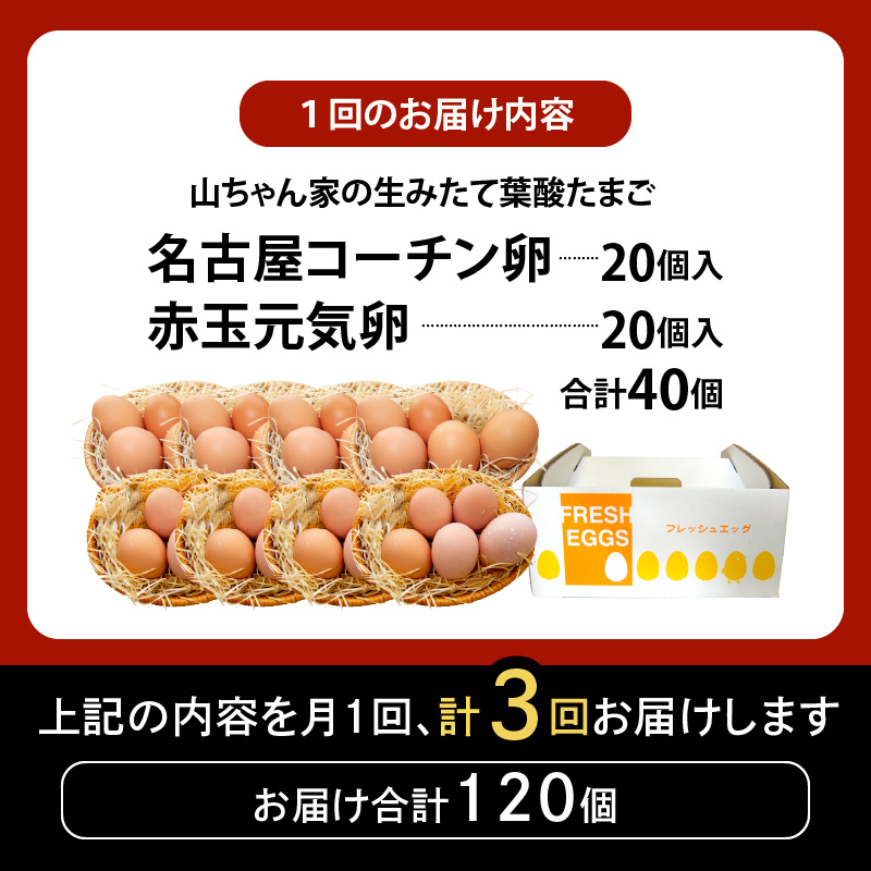 【3ヶ月定期便】【山ちゃん家の生みたて葉酸たまご】名古屋コーチン卵・赤玉元気卵 食べ比べセット（各20個 合計40個入り） 3ヶ月定期便 山ちゃん家 生みたて 葉酸たまご 名古屋コーチン卵 赤玉元気卵