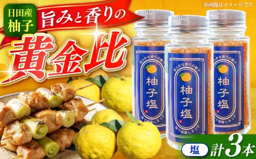 【柚子の香り引き立つ】柚子塩(3本セット)　日田市 / 日本農林産食品製造株式会社 ゆず 柚 調味料 [ARFV008]