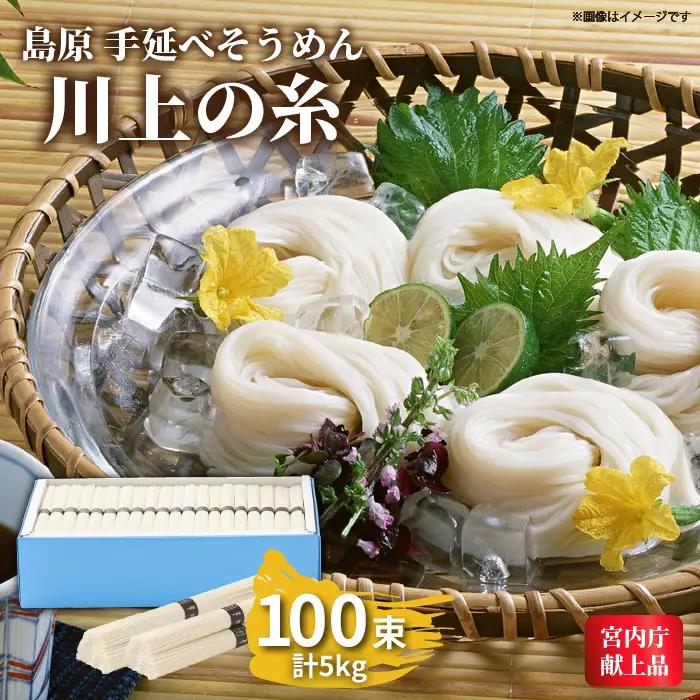 島原手延べそうめん 5kg そうめん [SCM031]