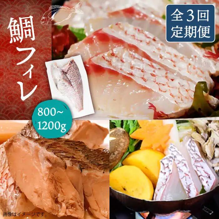 【全3回定期便】壱岐産 鯛 フィレ 800gから1.2kg [JDT033]
