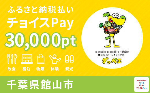 
館山市チョイスPay 30,000pt（1pt＝1円）【会員限定のお礼の品】
