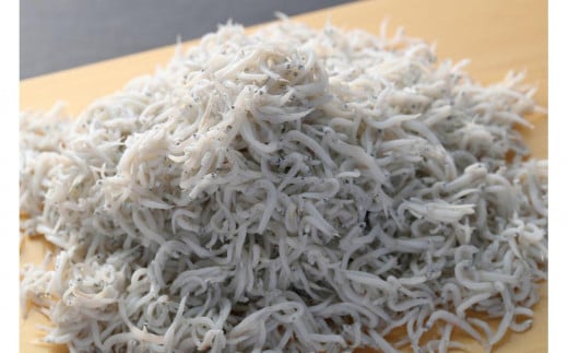 由比一艘曳き釜揚げしらす　500g（50g×10パック）◇