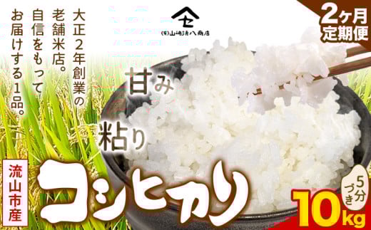 【毎月定期便2回】コシヒカリ 米 10kg《お申込み月の翌月から出荷開始》  新川耕地 5分づき 単発 千葉県 流山市 送料無料 米 こめ ごはん st-p