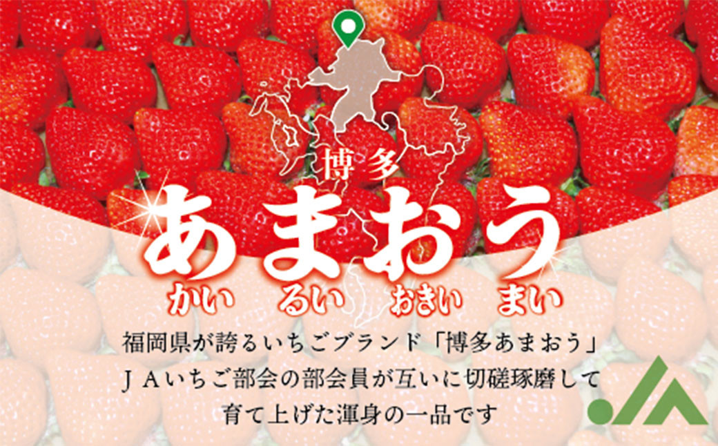 博多あまおう2パック（春） 250g～270g×4パック 合計約1000g～1080g 【2025年2月上旬-4月下旬発送予定】