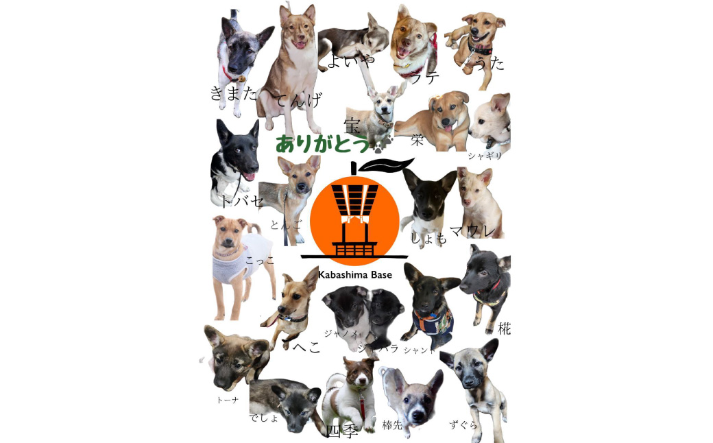 【11月上旬〜1月上旬発送】長崎県産 訳あり 早生みかん10kg (ご自宅用) ／ 果物 フルーツ 柑橘 蜜柑 ミカン 温州みかん 早生 訳アリ ワケアリ わけあり 理由あり 国産 大将農園 長崎県 