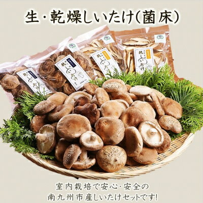 【ふるさと納税】生しいたけ1kg・乾燥しいたけ4袋【配送不可地域：離島・北海道・沖縄県・東北・関東・信越、北陸・東海・近畿・四国】【1185850】