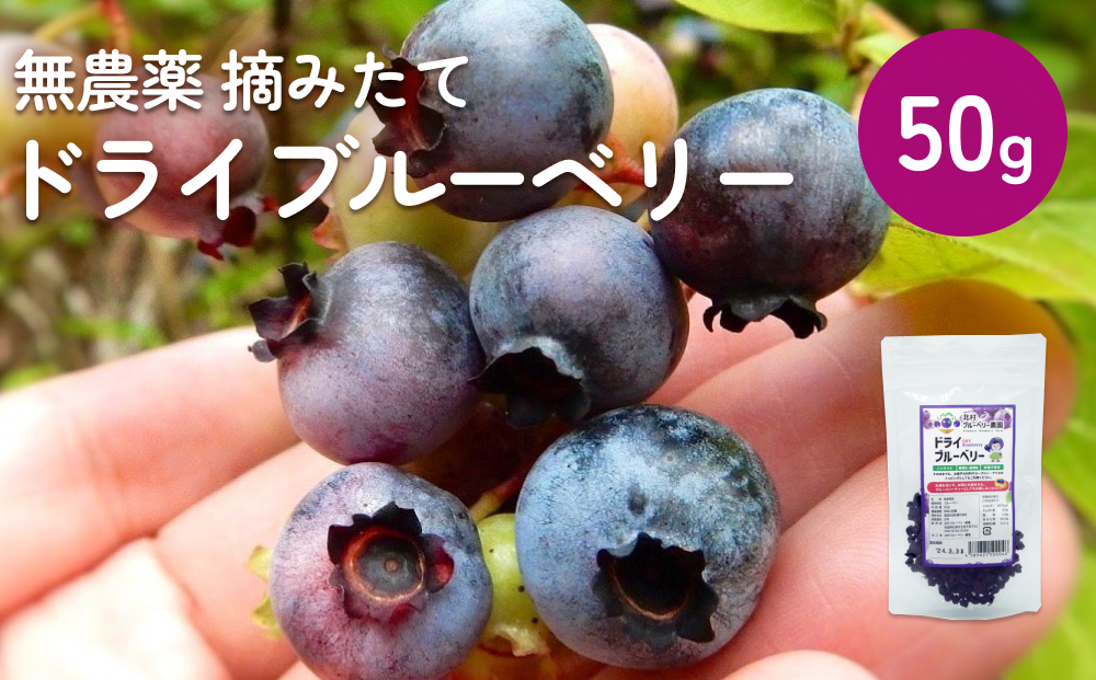 ＜ 先行予約 ＞?ドライブルーベリー 50g 無添加 摘みたて 砂糖不使用 ノンオイル ドライフルーツ