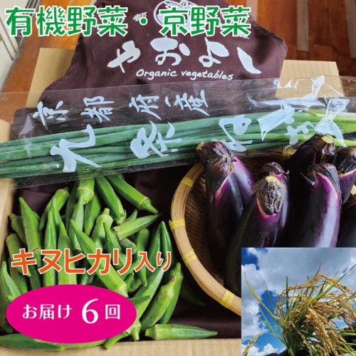 【先行受付】亀岡産 キヌヒカリ 2kg ＆ 野菜詰め合わせ【定期便】合計6回お届け　有機野菜・京野菜の『京都やおよし』 ※北海道・沖縄・離島への配送不可 ※2024年10月より順次出荷開始