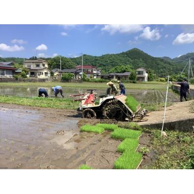 ふるさと納税 大子町 【新米先行予約】アミーゴ米コシヒカリ5kg(1年目・白米)【11月中旬から順次出荷】|茨城県大子町 |  | 02