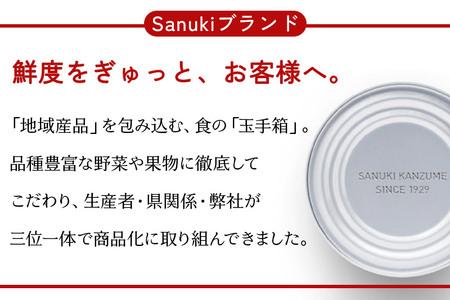 Sanuki フルーツ缶詰 りんご 48缶セット 国産果実 非常食 保存食 業務用