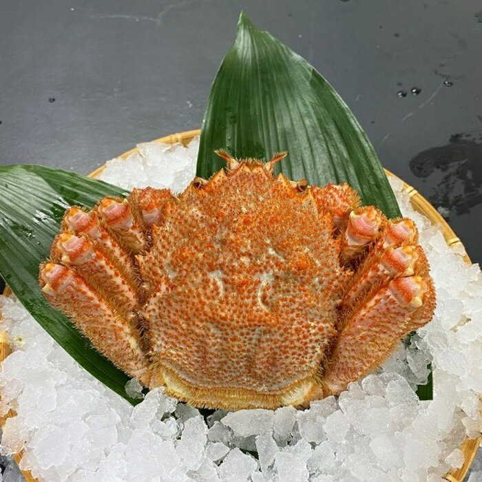 【ふるさと納税】 毛がに 選べる ( 450g × 1 尾 350g × 2 尾 600g × 1 尾 400g × 2 尾 450g × 2 尾 450g × 4 尾 ) カニ かに 蟹 毛ガニ 毛蟹 けがに ケガニ お取り寄せ グルメ 海鮮 ボイル 茹で蟹 茹でがに 茹でガニ 北海道 根室市 ふるさと納税