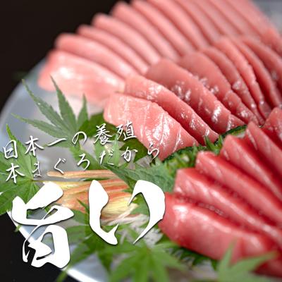 ふるさと納税 大月町 【高知県産 養殖本マグロ】450g 3種(大トロ 中トロ 赤身)小分け柵 急速冷凍 |  | 01