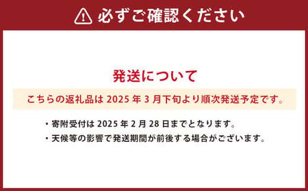 熊本県産 清見 約3kg 約7～9玉 柑橘 みかん 蜜柑 フルーツ 果物 くだもの  【2025年3月下旬発送開始】