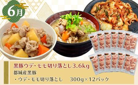 【年末企画】総重量12.7kg超え!豚ざんまい定期便(3ヶ月)2月・4月・6月お届け_T49-MY01_(都城市) 宮崎県産豚 わくわく 切り落とし 炒め物 とんかつ バラ しゃぶしゃぶ 焼肉 黒豚