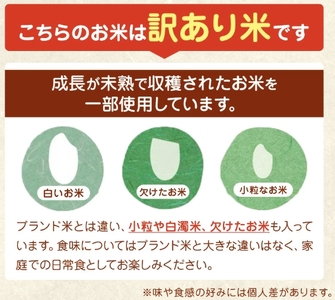 令和7年産 熊本県産 ほたるの灯り 無洗米 30kg  | 選べる 銘柄 ほたるの灯り 森のくまさん 容量 5kg 10kg 15kg 20kg 25kg 30kg 特A 小分け 訳あり 規格外 