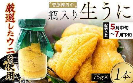 【発祥の地】【牛乳瓶入り生うに】【2027年5月中旬以降発送 】菅原商店 生うに 75g×1本 国産 三陸山田 岩手県 山田町 三陸 旬 うに 牛乳瓶 無添加 ウニ 雲丹 うに丼 無添加ウニ キタムラサキウニ 特選 ミョウバン不使用