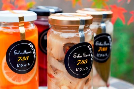【農家のこだわり野菜使用】おまかせ 自家製ピクルス 3本《築上町》【ERBA FARM733】 [ABAP001] 大人気ピクルス ジューシーピクルス 国内製造ピクルス 絶品ピクルス ご家庭用ピクルス