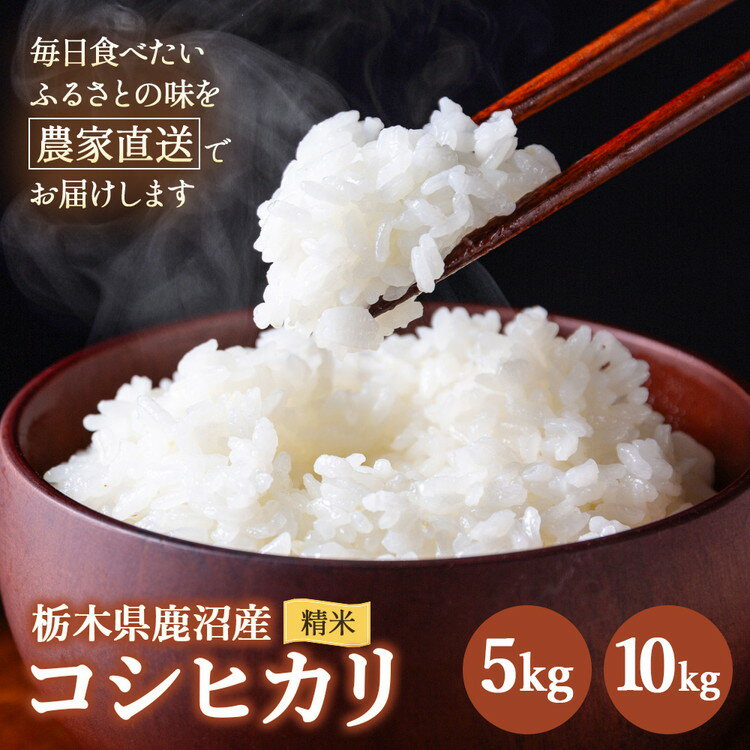 【ふるさと納税】【選べる内容量】令和7年度産 コシヒカリ 精米 （5kg・10kg） | 白米 米 お米 こしひかり 農家直送 栃木 鹿沼市
