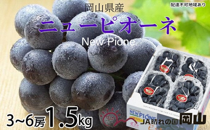 
                  ぶどう 2026年 先行予約 ニュー ピオーネ 3房～6房 約1.5kg 6月下旬～7月下旬発送 ブドウ 葡萄  岡山県産 国産 フルーツ 果物 ギフト 果物類 種なし デザート 食後 おやつ 産地直送  [№5735-1245]
                