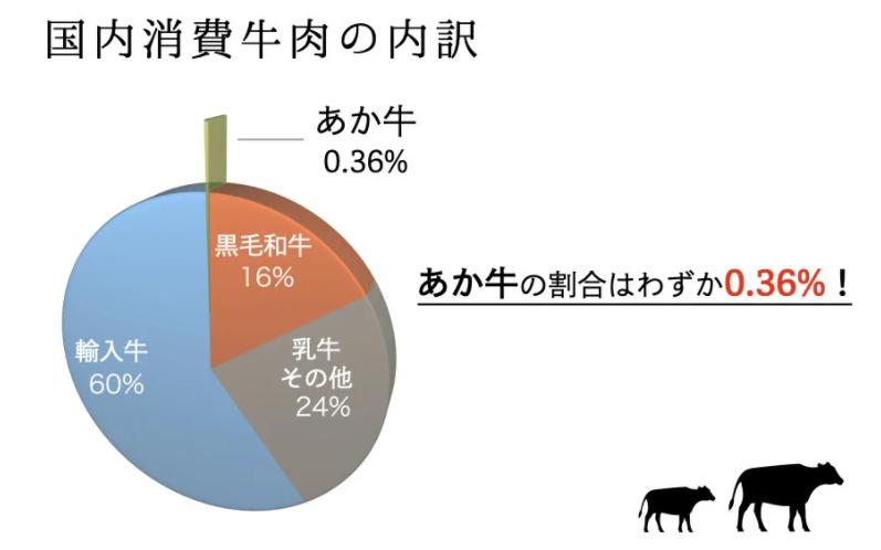 【熊本県産】GI認証取得 くまもとあか牛（特選・すき焼き用500g） 熊本県産 くまもとあか牛 特選 すき焼き 500g 国産牛 あか牛 赤身 霜降り 牛肉 牛 国産 肉 薄切り すき焼き しゃぶしゃ