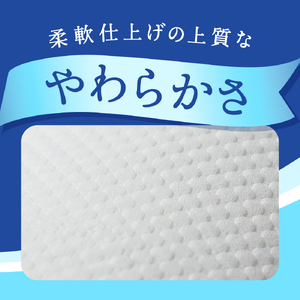 No.160 【シングル】エリエール　トイレットティシュー12ロール×6パック ／ トイレットペーパー ティッシュ 大容量 やわらかめ 柔らかめ やわらかい 柔らかい 香り付き 香りつき 埼玉県