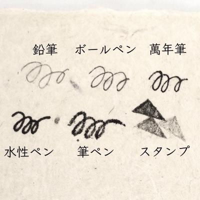 ふるさと納税 いの町 【奏華舎】土佐和紙カード&染紙封筒セット(恐竜 / アソート3種) |  | 02
