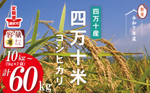 令和7年産 3回 定期便 四万十産 四万十米 コシヒカリ 10kg （5kg×2袋）×3回（計30kg） 国産 こしひかり コシヒカリ 30kg 2025年 精米 白米 米 おこめ こめ コメ ご飯 ごはん ふっくら 四国 高知 四万十 しまんと