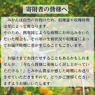 有田みかん「未来への虹」10kg(A2-1)
