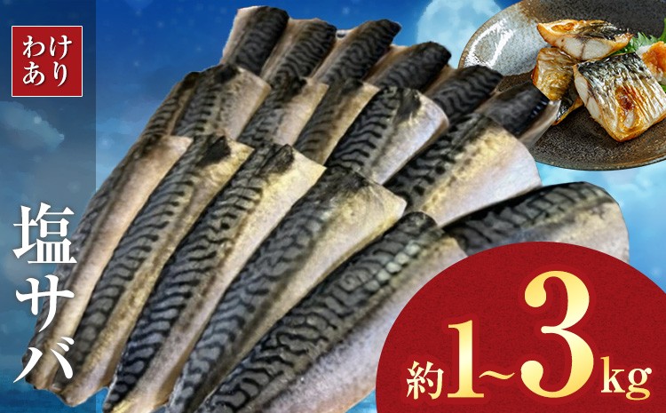 
                  【訳あり】無添加 塩サバ 1kg 3kg 株式会社西川《2026年6月25日より順次出荷予定》千葉県 勝浦市 塩サバ さば 切り身 魚 無添加 冷凍 訳あり 切身 大容量 規格外 贈り物 ギフト 海鮮 冷凍 食品 ふるさと納税【配送不可地域あり】(離島)
                