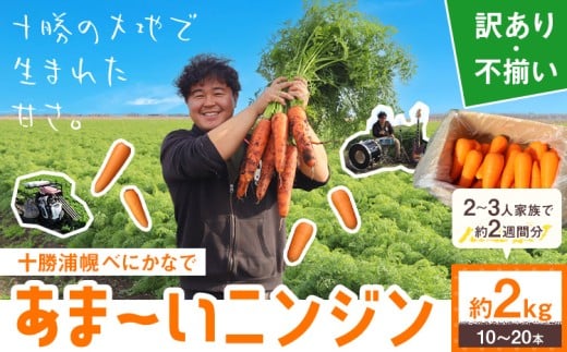 甘～いニンジン 十勝 浦幌べにかなで 【訳あり・不揃い】 約2kg 10～20本 農事組合法人レギューム《12月上旬から5月上旬頃出荷》北海道 浦幌町 人参 にんじん 安心 安全 野菜 お野菜 やさい 紅奏 シャキシャキ 甘い st-p