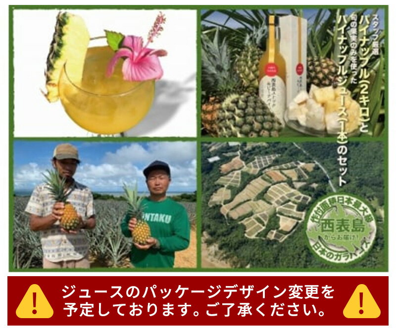【ふるさと納税】 2025年 先行予約 熟鮮パイン2kg （2玉）と甘さをぎゅっと詰め込んだ100％ 【パイナップルジュース 1本 パイン 果物 フルーツ 果物 ジュース 】 お届け：2025年5月上旬〜7月下旬