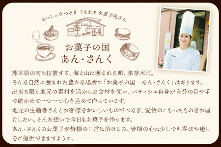 パティシエおまかせ甘夏パイと手作りお菓子セット お菓子の国 あん・さんく《30日以内に順次出荷(土日祝除く)》熊本県 葦北郡 津奈木町 クッキー マドレーヌ ラスク パウンドケーキ 贈り物 のし対応 