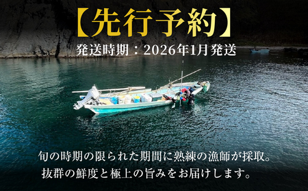 北海道室蘭産 天然活蝦夷あわび 4個入（1個100g～120g前後）（2026年1月中旬頃お届け） MROH011 | あわび
