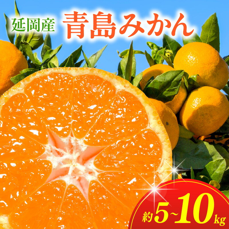 【ふるさと納税】みかん 青島みかん 選べる 容量 5kg ～ 10kg 12月下旬以降発送開始 温州みかん 柑橘類 貯蔵 フルーツ 果物 青果 果実 柔らか 甘み 酸味 おやつ デザート ビタミン 冬の味覚 食品 食べ物 お土産 お取り寄せ お取り寄せフルーツ 常温 宮崎県 延岡市 送料無料