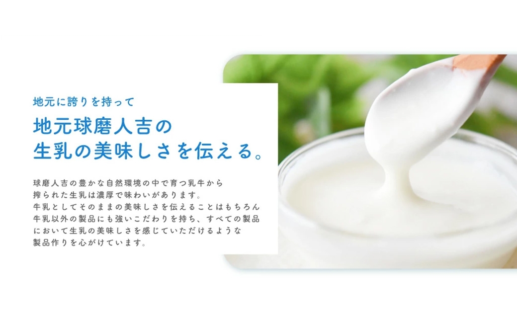 球磨の恵みのむヨーグルト（プレーン・砂糖不使用） 150g×10本